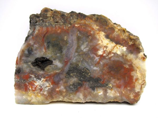 Genuine Jurassic Age Dinosaur Coprolite for Sale from Utah #103a