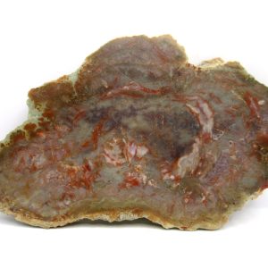 Jurassic Dinosaur Coprolite from Morrison Formation Utah 6.33" #109
