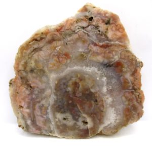 Jurassic Dinosaur Coprolite from Morrison Formation Utah 5.47" #110