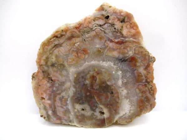Jurassic Dinosaur Coprolite from Morrison Formation Utah 5.47" #110