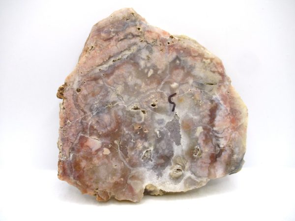 Jurassic Dinosaur Coprolite from Morrison Formation Utah 5.47" #110 - Image 2