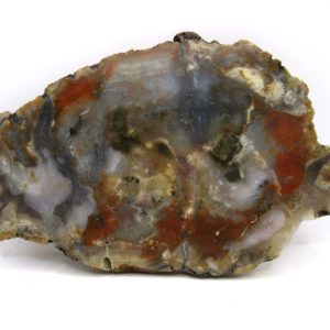Jurassic Dinosaur Coprolite from Morrison Formation Utah 6.17" #115