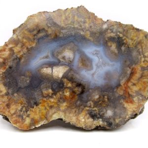 Genuine Jurassic Age Dinosaur Coprolite for Sale from Utah #83