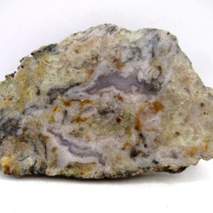 Genuine Jurassic Age Dinosaur Coprolite for Sale from Utah #90