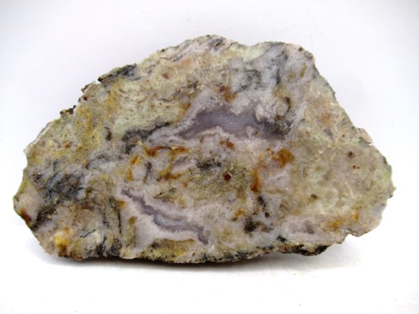 Genuine Jurassic Age Dinosaur Coprolite for Sale from Utah #90
