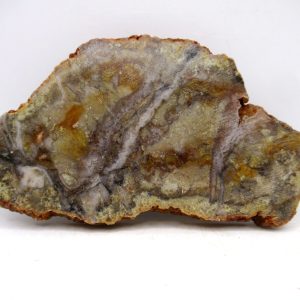 Genuine Jurassic Age Dinosaur Coprolite for Sale from Utah #92