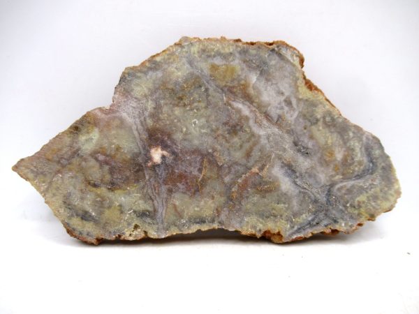 Genuine Jurassic Age Dinosaur Coprolite for Sale from Utah #92a