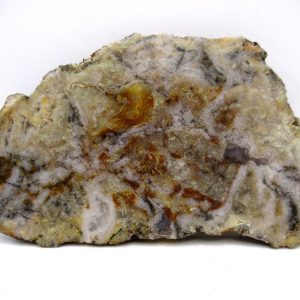 Genuine Jurassic Age Dinosaur Coprolite for Sale from Utah #93