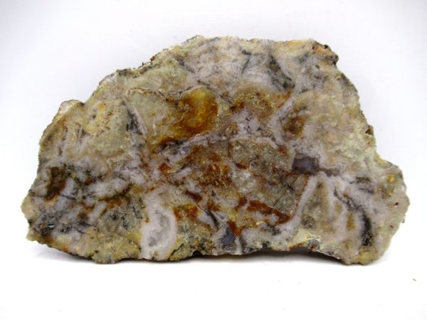 Genuine Jurassic Age Dinosaur Coprolite for Sale from Utah #93