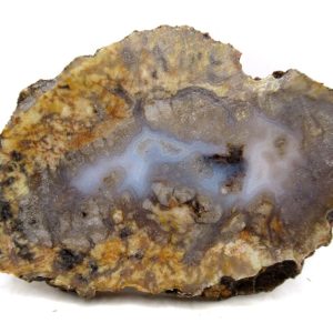 Genuine Jurassic Age Dinosaur Coprolite for Sale from Utah #95