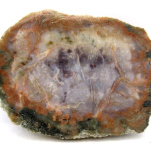 Genuine Jurassic Age Dinosaur Coprolite for Sale from Utah #96