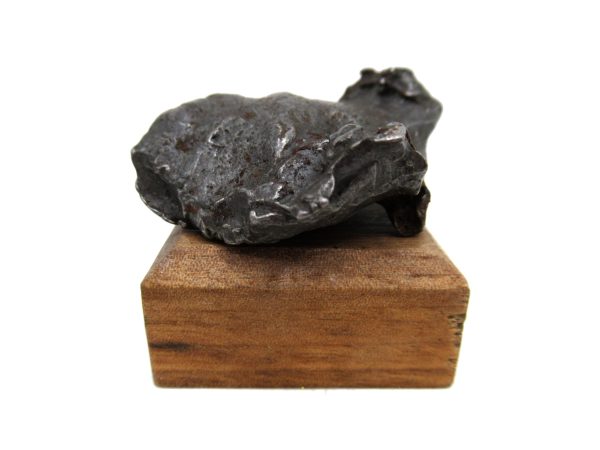 Canyon Diablo Arizona Meteorite For Sale Genuine Meteorite #1 (72.4 grams)