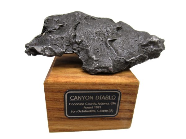 Canyon Diablo Arizona Meteorite For Sale Genuine Meteorite #2 (275.1 grams)