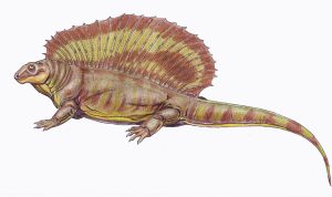 Edaphosaurus