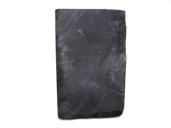 Carboniferous Fern Fossil for Sale from Germany #34 - Image 2