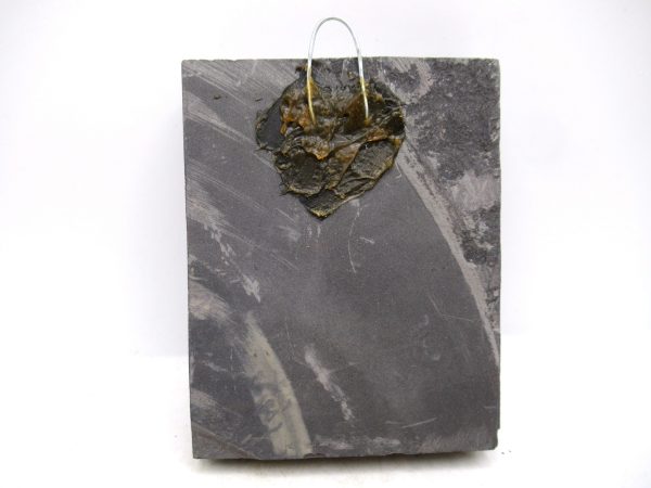 Carboniferous Fern Fossil for Sale from Germany #35 - Image 2