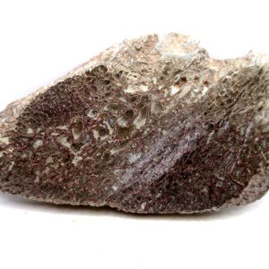Cretaceous Dinosaur Fossil Polished Bone Slice for Sale #104 - 4.22"