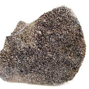 Genuine Cretaceous Age Polished Dinosaur Bone Slice for Sale from Morocco #76