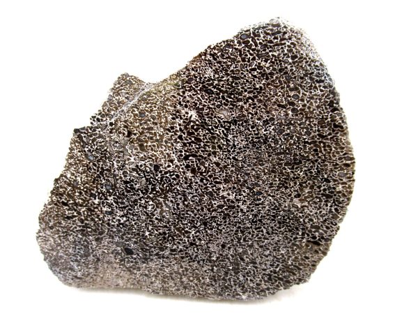 Genuine Cretaceous Age Polished Dinosaur Bone Slice for Sale from Morocco #76