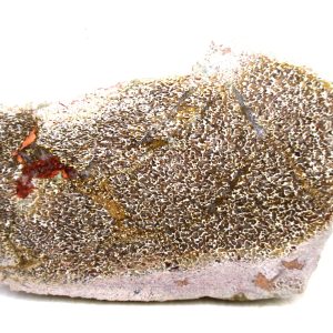 Genuine Cretaceous Age Polished Dinosaur Bone Slice for Sale from Morocco #77