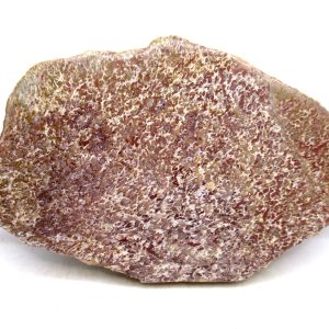 Genuine Cretaceous Age Polished Dinosaur Bone Slice for Sale from Morocco #78