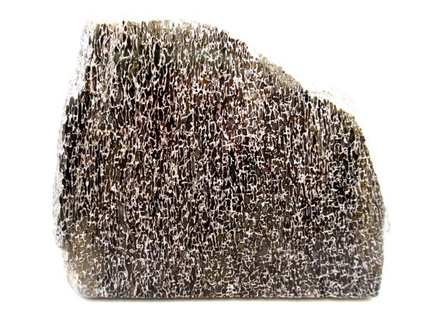 Genuine Cretaceous Age Polished Dinosaur Bone Slice for Sale from Morocco #79a