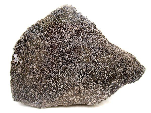Genuine Cretaceous Age Polished Dinosaur Bone Slice for Sale from Morocco #80