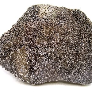 Genuine Cretaceous Age Polished Dinosaur Bone Slice for Sale from Morocco #83