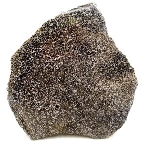 Genuine Cretaceous Age Polished Dinosaur Bone Slice for Sale from Morocco #87