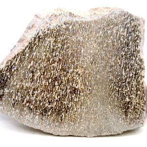 Genuine Cretaceous Age Polished Dinosaur Bone Slice for Sale from Morocco #94