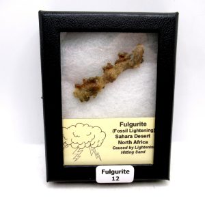 Fulgurite "Fossil Lightening" from Sahara Desert N. Africa #12 - 2.18"