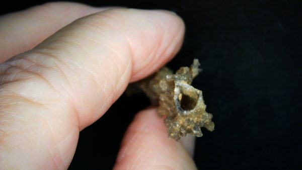 Fulgurite "Fossil Lightening" from Sahara Desert N. Africa #12 - 2.18" - Image 3