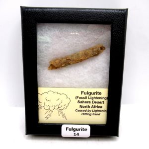Fulgurite "Fossil Lightening" from Sahara Desert N. Africa #14 - 2.17"