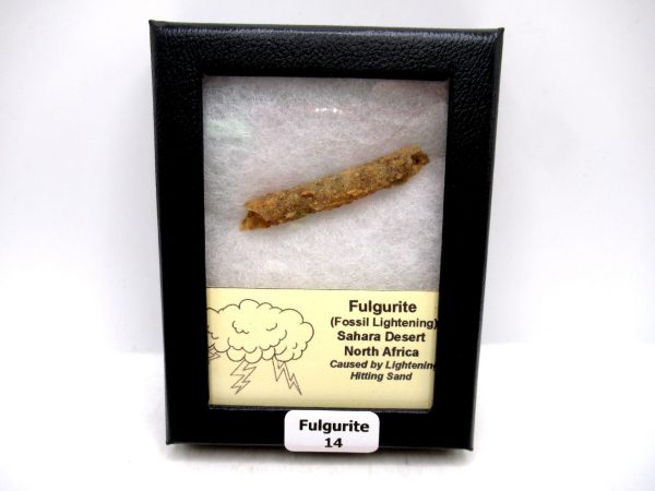 Fulgurite "Fossil Lightening" from Sahara Desert N. Africa #14 - 2.17"