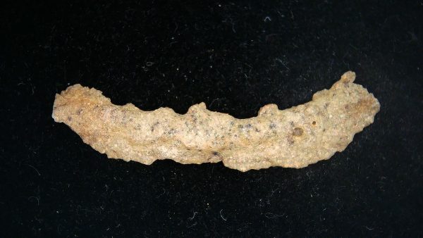 Fulgurite "Fossil Lightening" from Sahara Desert N. Africa #15 - 2.23" - Image 2