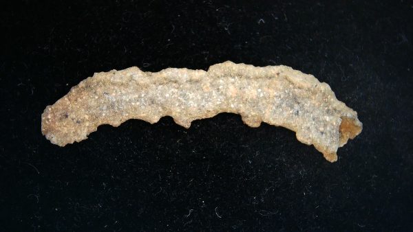 Fulgurite "Fossil Lightening" from Sahara Desert N. Africa #15 - 2.23" - Image 4