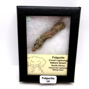 Fulgurite "Fossil Lightening" from Sahara Desert N. Africa #16 - 2.46"