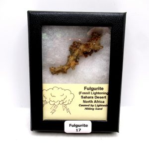 Fulgurite "Fossil Lightening" from Sahara Desert N. Africa #17 - 2.36"
