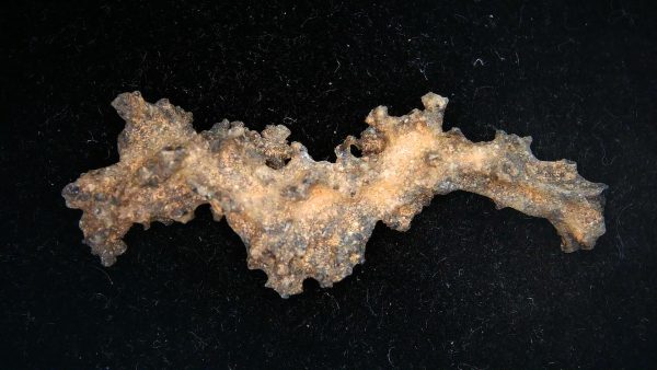 Fulgurite "Fossil Lightening" from Sahara Desert N. Africa #17 - 2.36" - Image 4