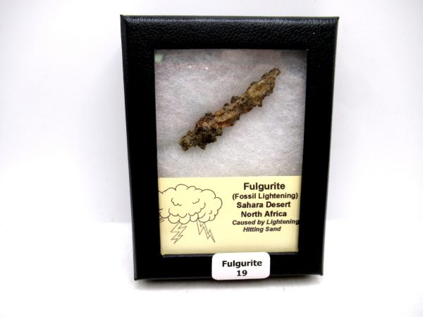 Fulgurite "Fossil Lightening" from Sahara Desert N. Africa #19 - 2.08"