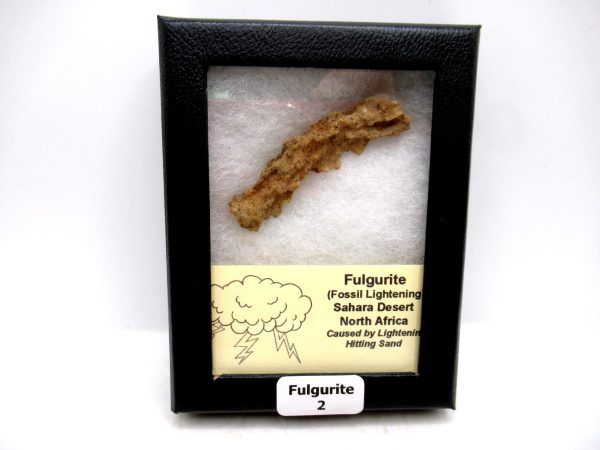 Fulgurite "Fossil Lightening" from Sahara Desert N. Africa #2 - 2.25"