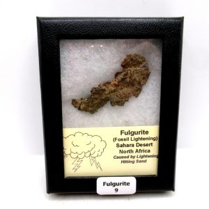 Fulgurite "Fossil Lightening" from Sahara Desert N. Africa #9 - 2.20"