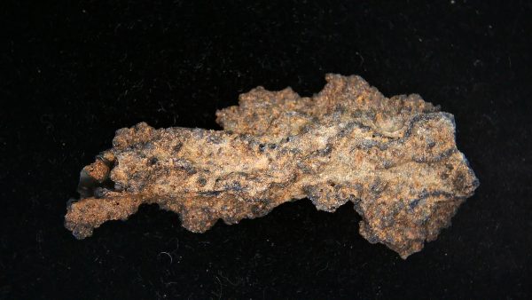 Fulgurite "Fossil Lightening" from Sahara Desert N. Africa #9 - 2.20" - Image 2