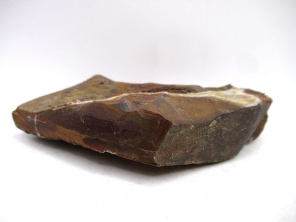 North Dakota Paleocene Ginko Leaves Fossils for Sale #91 - 3.91" - Image 3