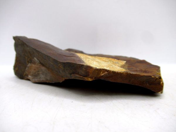 Genuine Paleocene Ginko Leaf Fossil for Sale from N. Dakota #96b