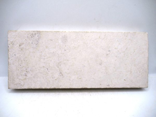 German Jurassic Hibolithes Belemnite 2b | Fossils for Sale General Jurassic Age Hibolithes Belemnite Fossil from Germany for Sale #2b