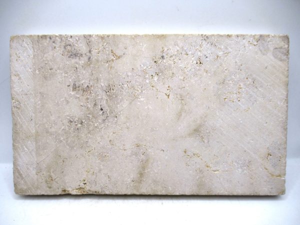 German Jurassic Hibolithes Belemnite 3b | Fossils for Sale General Jurassic Age Hibolithes Belemnite Fossil from Germany for Sale #3b