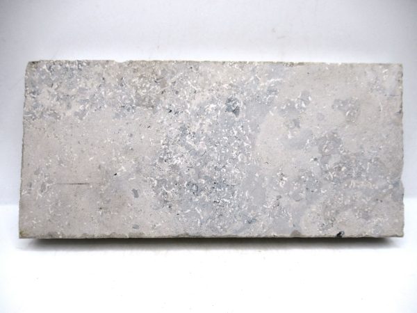 German Jurassic Hibolithes Belemnite 4b | Fossils for Sale General Jurassic Age Hibolithes Belemnite Fossil from Germany for Sale #4b