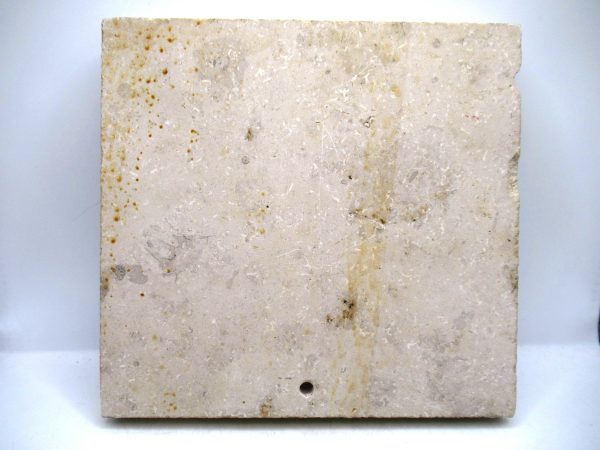 German Jurassic Hibolithes Belemnite 5b | Fossils for Sale General Jurassic Age Hibolithes Belemnite Fossil from Germany for Sale #5b