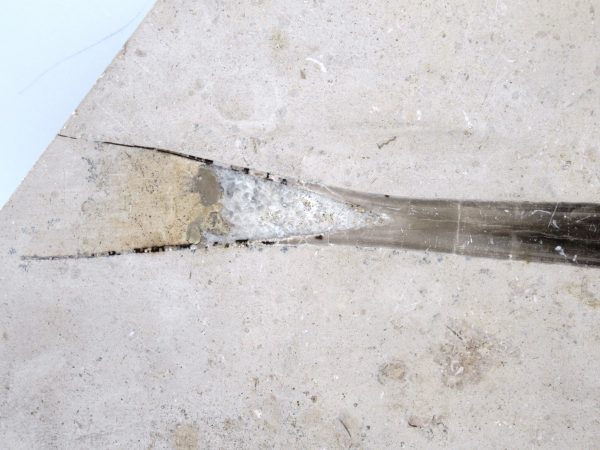 German Jurassic Hibolithes Belemnite 7b | Fossils for Sale General Jurassic Age Hibolithes Belemnite Fossil from Germany for Sale #7b